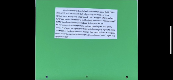 Book Page