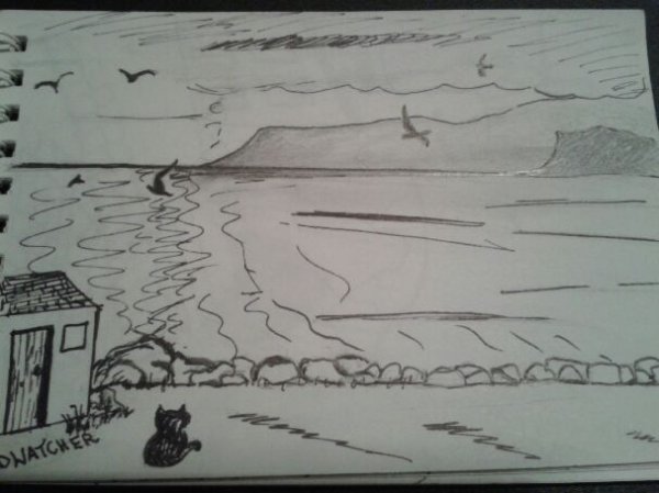 Book Page