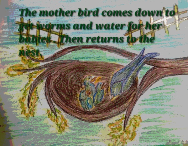 Book Page