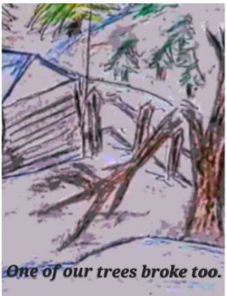 Book Page