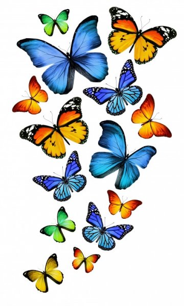 Book Page