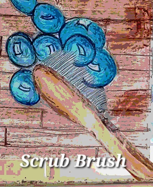 Book Page
