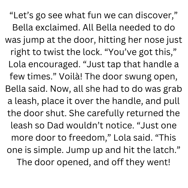 Book Page
