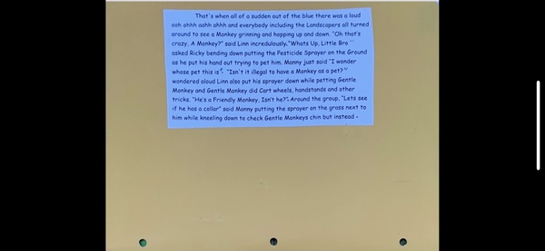 Book Page