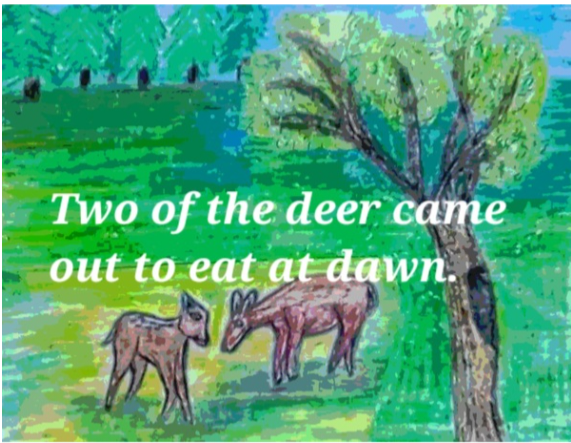 Book Page