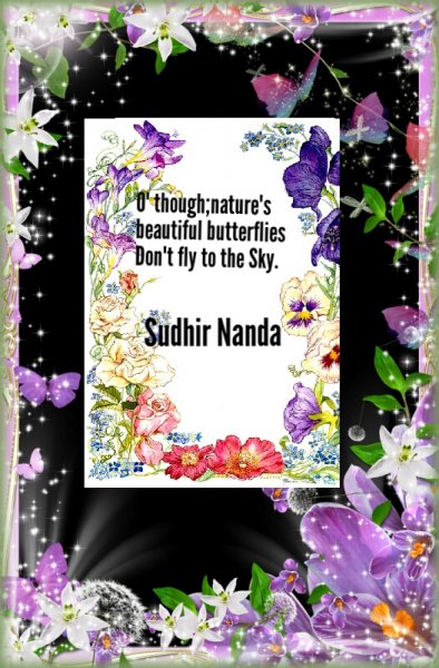 Book Page