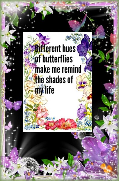 Book Page