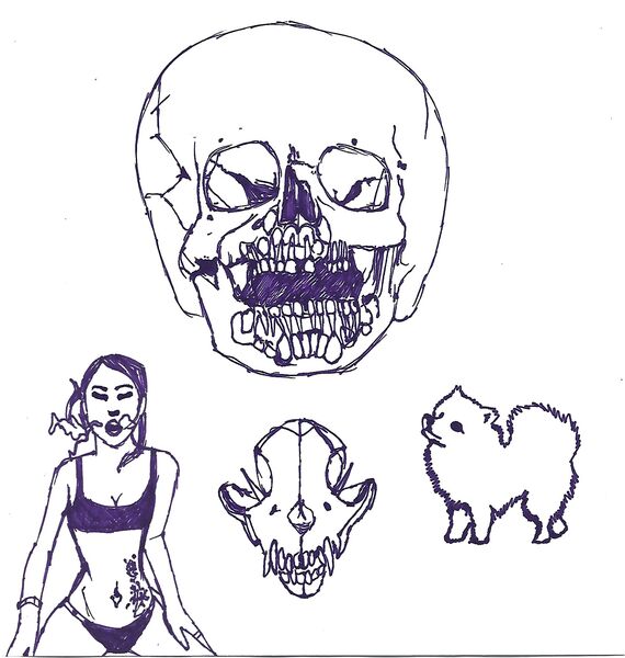 Book Page