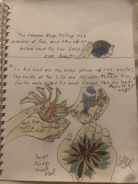 Book Page