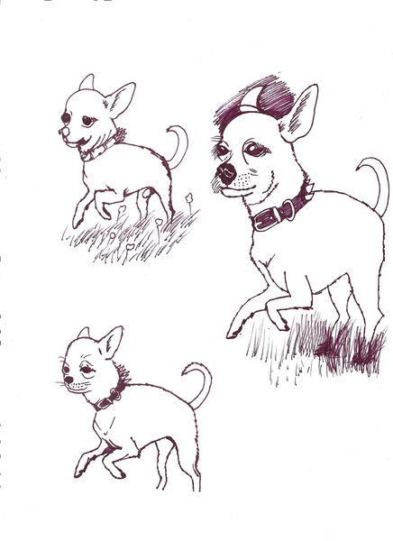 Book Page