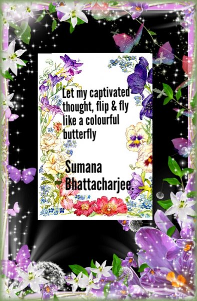 Book Page