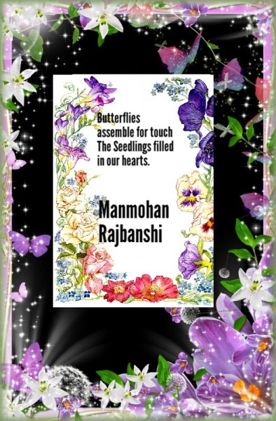 Book Page