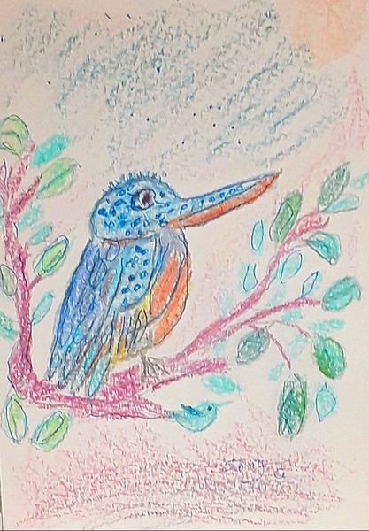 Book Page