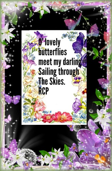 Book Page