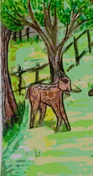 Book Page