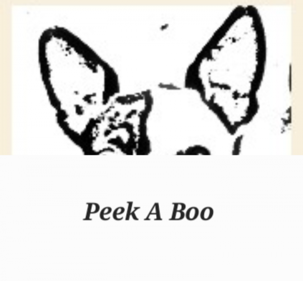 Book Page