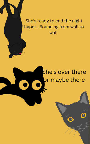 Book Page