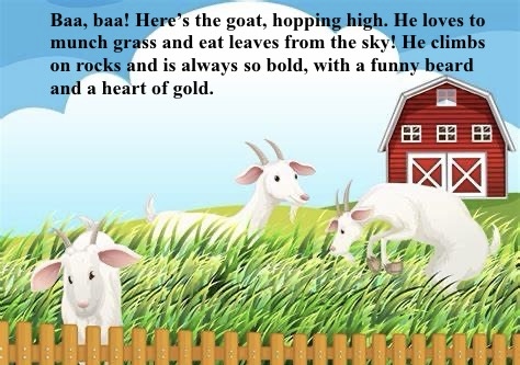 Book Page