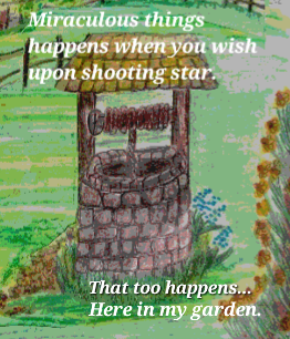 Book Page