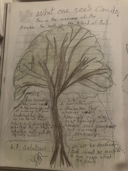 Book Page