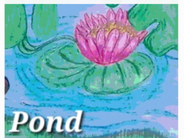 Book Page