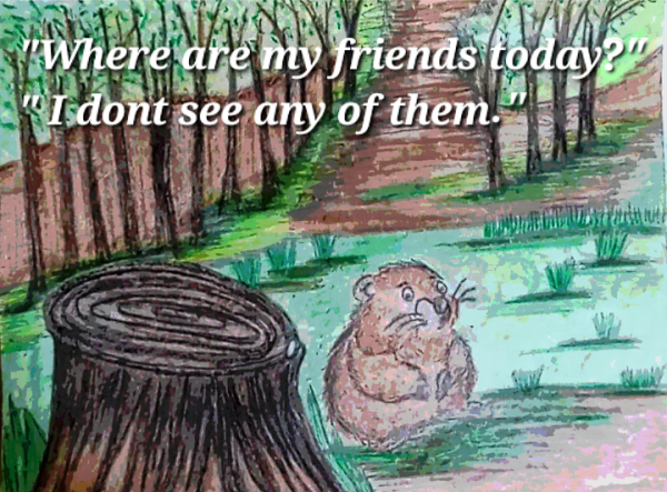 Book Page