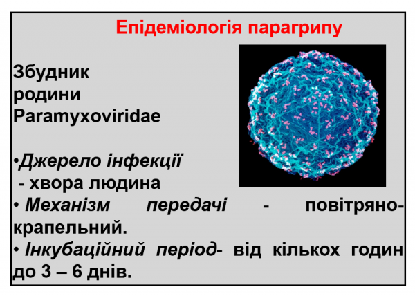 Book Page