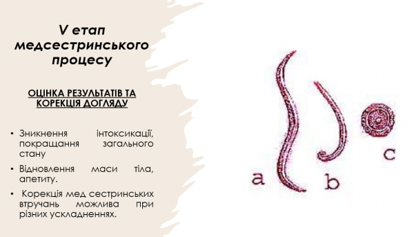 Book Page