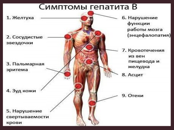 Book Page