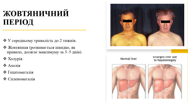 Book Page