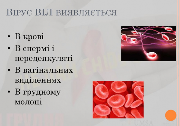Book Page