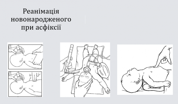 Book Page
