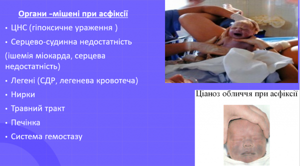 Book Page