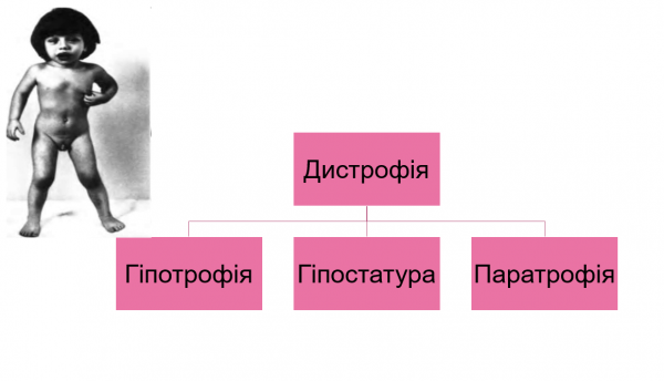 Book Page