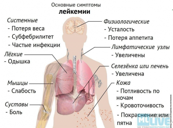 Book Page