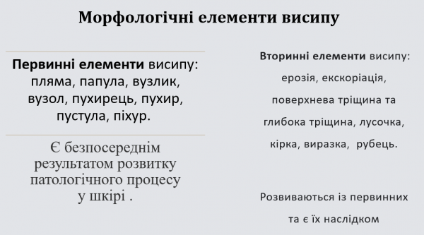Book Page