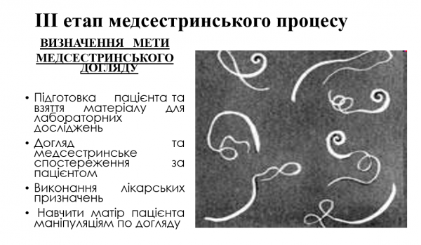 Book Page