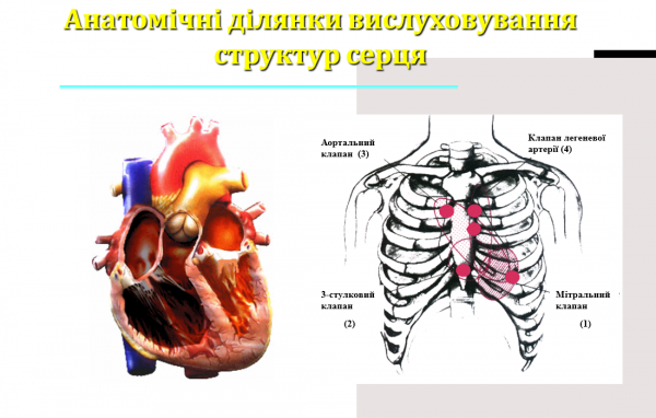 Book Page