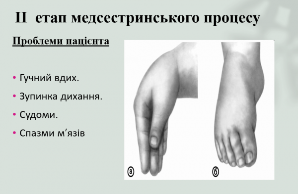 Book Page