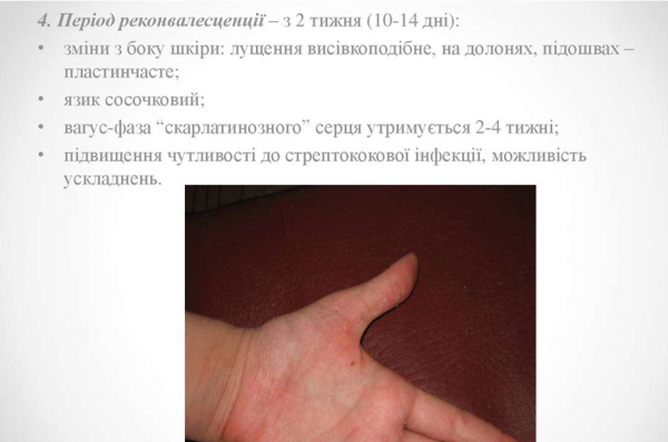 Book Page