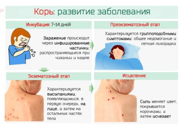 Book Page