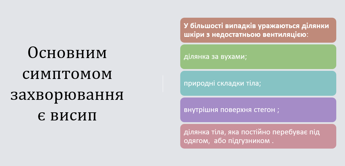 Book Page