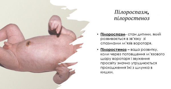 Book Page