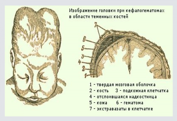 Book Page