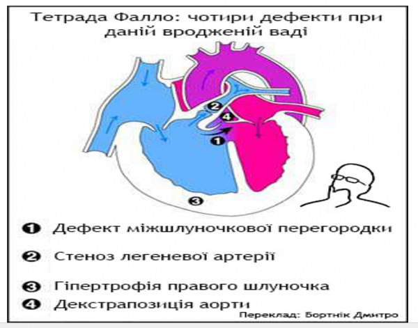 Book Page