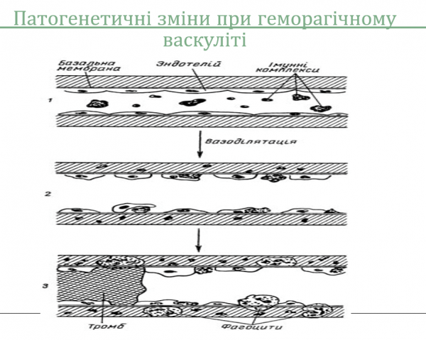 Book Page
