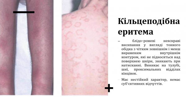 Book Page