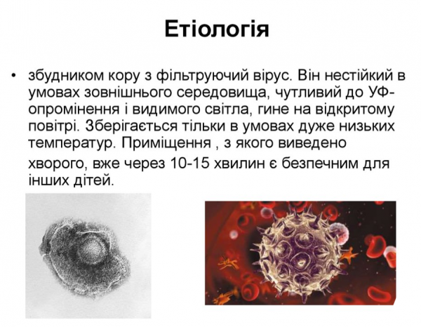 Book Page