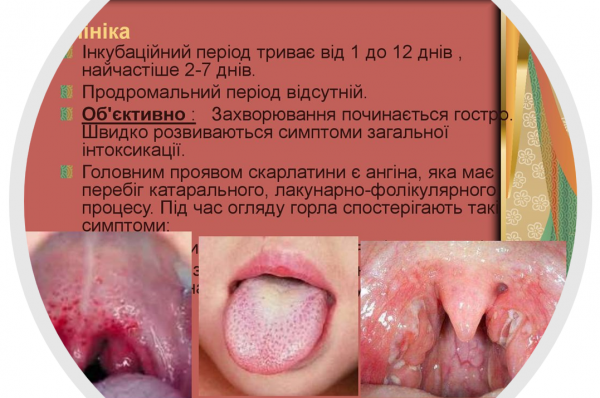 Book Page