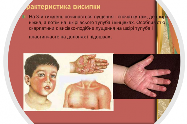 Book Page